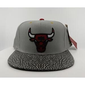 Chicago Bulls Snap Back Hat Cap 1991 NBA Champions Gray Print Mitchell Ness Mens
